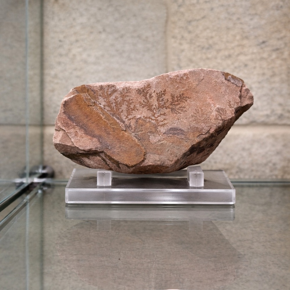 Natural Dendritic Jasper Stone Art - Brown Decorative Accent
